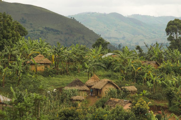 Les communautés pygmées autochtones déplacées de leurs terres au nom de la « conservation »