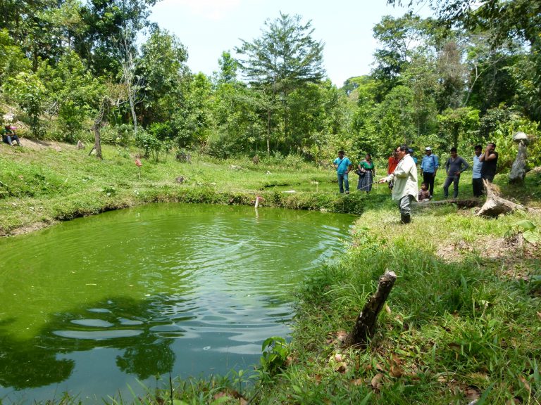 Derechos de la tierra y derechos a la tierra: Naturaleza para la vida