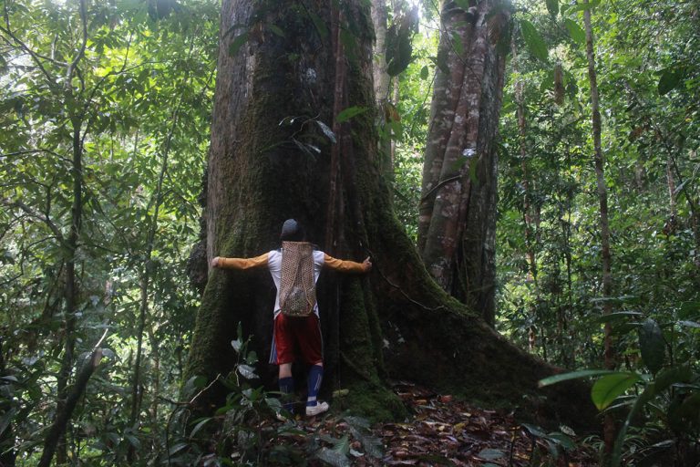 Asegurando derechos territoriales – Protegiendo bosques y ríos